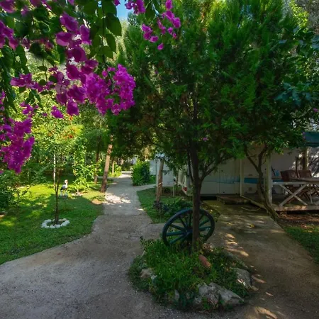 S3 Seahorse Club Hotell Öludeniz
