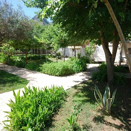 S3 Seahorse Club 3* Ολουντενίζ
