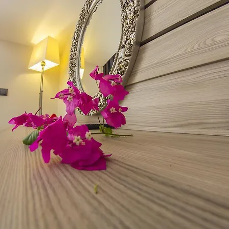 Hotel S3 Seahorse Club 3*
