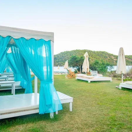 S3 Seahorse Club Hotel 3*