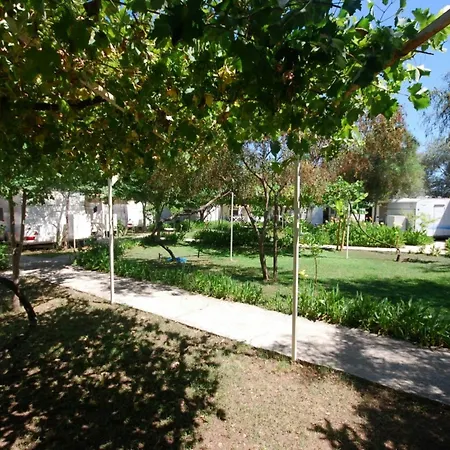 S3 Seahorse Club Hotel 3*